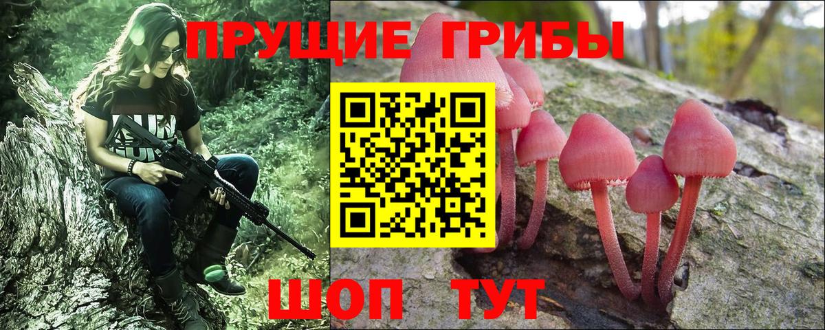 Галлюциногенные грибы мицелий Кызыл